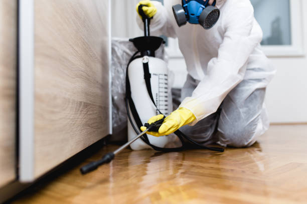 Best Wasp Removal Services  in La Villa, TX