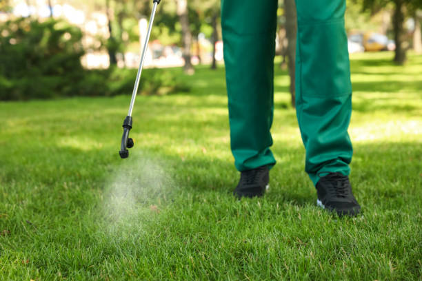 Best Mosquito Control Services  in La Villa, TX