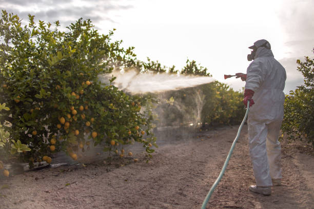 Best Commercial Pest Control Services  in La Villa, TX