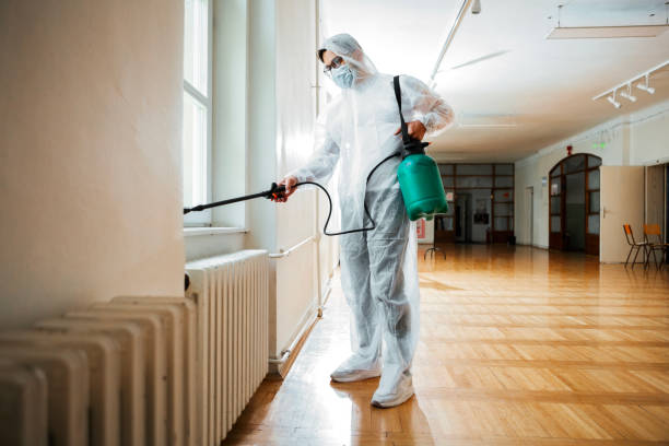 Best Pest Removal Services  in La Villa, TX